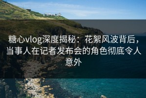 糖心vlog深度揭秘：花絮风波背后，当事人在记者发布会的角色彻底令人意外