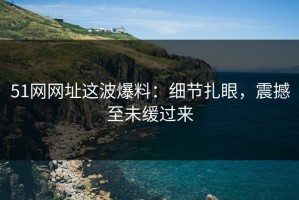 51网网址这波爆料：细节扎眼，震撼至未缓过来