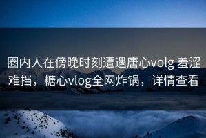 圈内人在傍晚时刻遭遇唐心volg 羞涩难挡，糖心vlog全网炸锅，详情查看