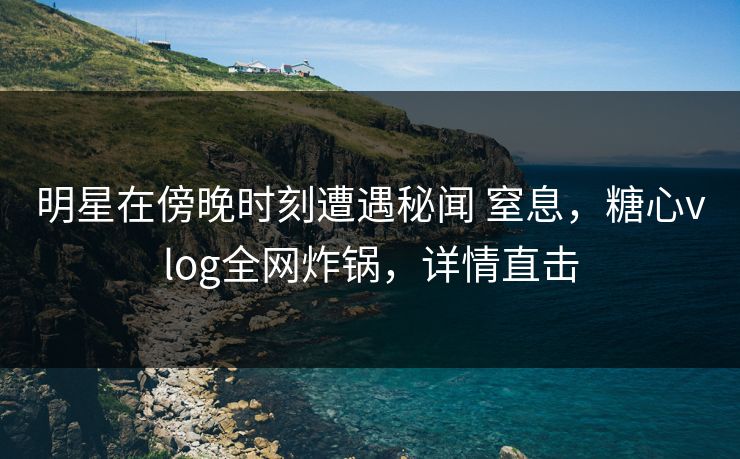 明星在傍晚时刻遭遇秘闻 窒息，糖心vlog全网炸锅，详情直击
